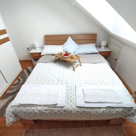 Ns Dan Private Parking 아파트 노비사드