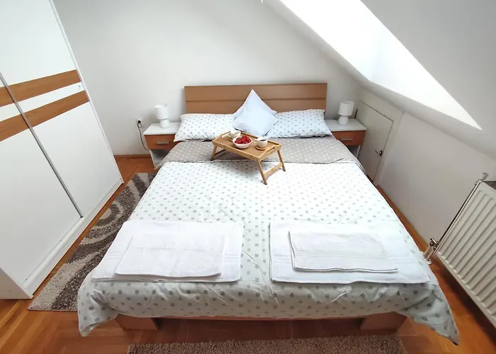 Ns Dan Private Parking Apartament Novi Sad